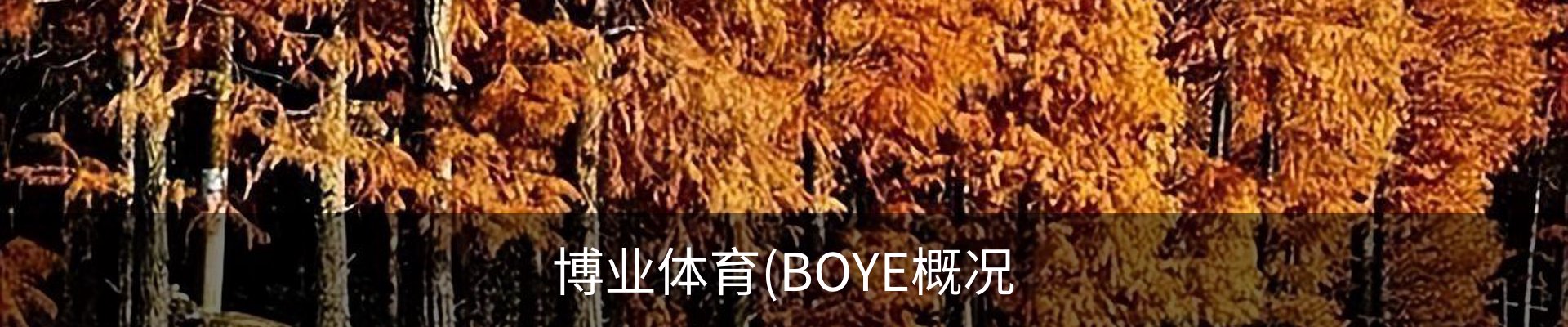 内页banner